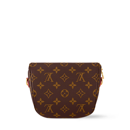"LV" Bumbag Mini